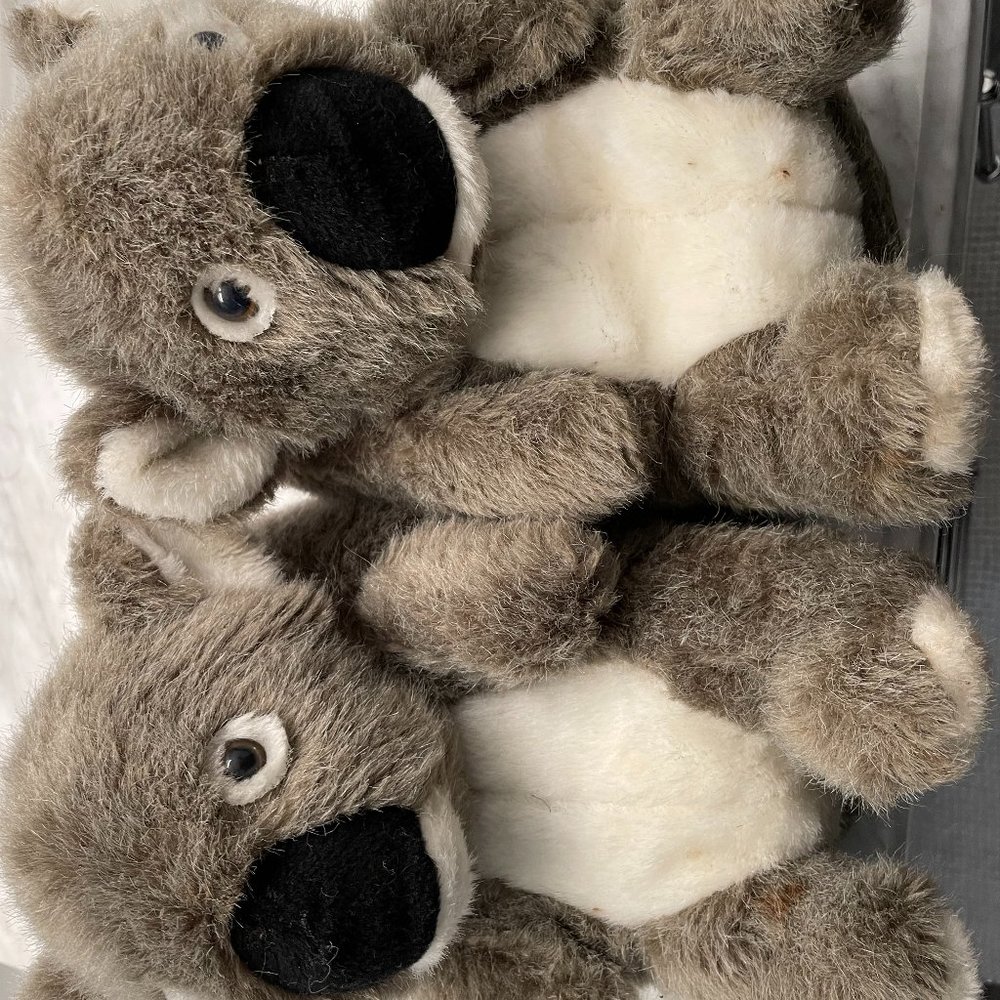 Koala Bear Slippers